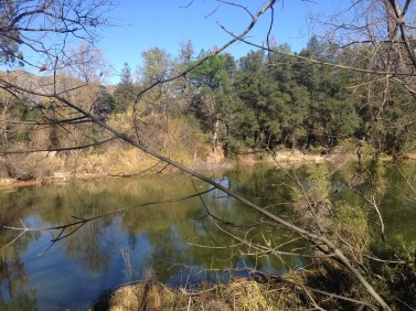 Photo Jan 28, 2 11 00 PM