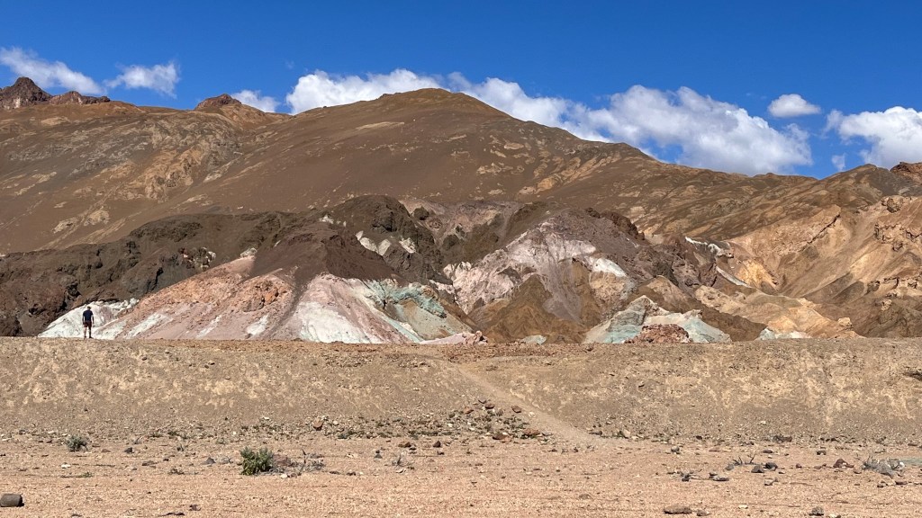 hill with spats of brown, pink. green and yellow